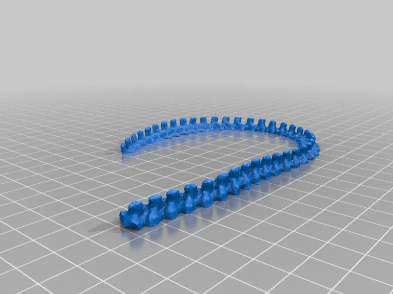 Bộ Xương Rắn (Snake Skeleton!) - Image 15