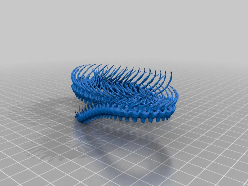 Bộ Xương Rắn (Snake Skeleton!) - Image 17