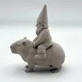 Gnome Cưỡi Capybara - Thumbnail 2