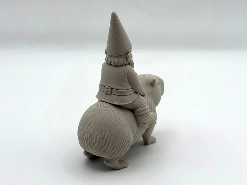 Gnome Cưỡi Capybara - Image 4