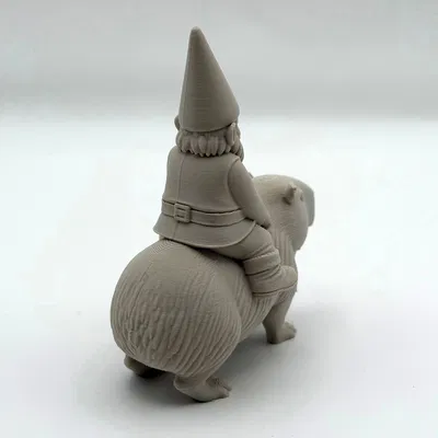 Gnome Cưỡi Capybara