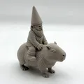 Gnome Cưỡi Capybara - Thumbnail 5