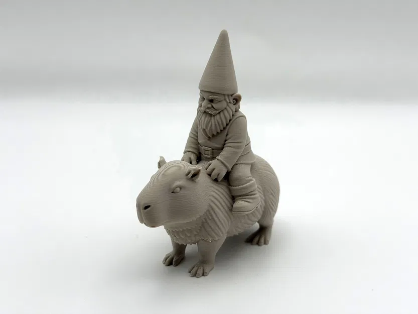 Gnome Cưỡi Capybara - Image 6