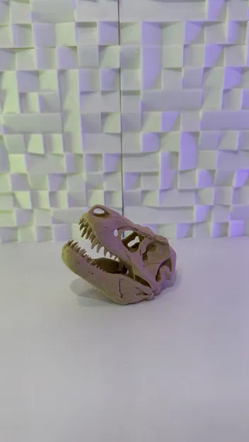 Hộp sọ T-Rex V3 (10-25 Grams) - Image 1
