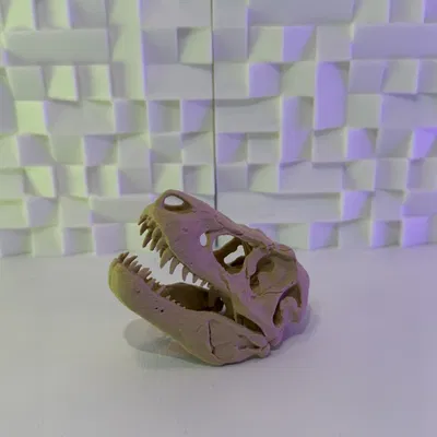 Hộp sọ T-Rex V3 (10-25 Grams)