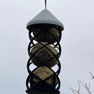 Bird fatball feeder (máng treo fatball cho chim)