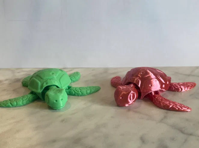 Rùa Khớp Nối (Articulated Turtle) - Image 1