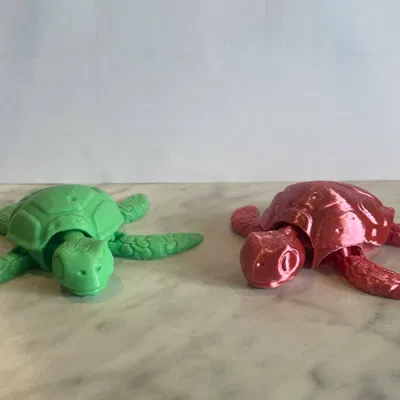 Rùa Khớp Nối (Articulated Turtle)