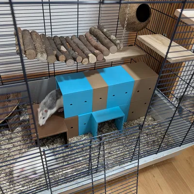 Hệ Hầm/Nhà Modular cho Rat & Gặm Nhấm – Tùy Biến 100mm