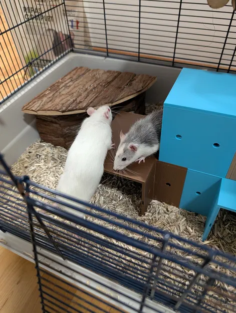 Hệ Hầm/Nhà Modular cho Rat & Gặm Nhấm – Tùy Biến 100mm - Image 6