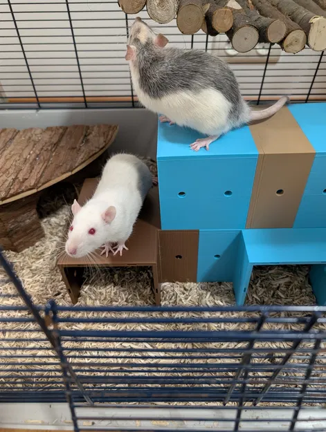 Hệ Hầm/Nhà Modular cho Rat & Gặm Nhấm – Tùy Biến 100mm - Image 7