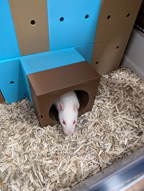 Hệ Hầm/Nhà Modular cho Rat & Gặm Nhấm – Tùy Biến 100mm - Image 9