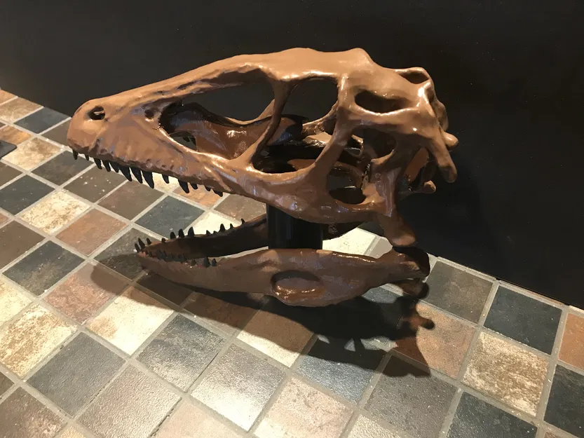 Hộp sọ Deinonychus Antirrhopus (raptor) kích thước thật – bản unsliced - Image 3