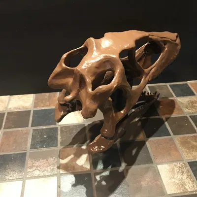 Hộp sọ Deinonychus Antirrhopus (raptor) kích thước thật – bản unsliced