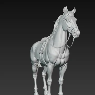 Tượng ngựa có dây cương (Harnessed Horse Statue)