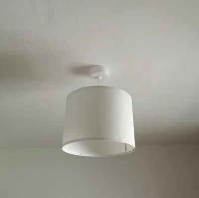 Chụp trần và ngàm gắn đèn (Lamp ceiling cup and mount)