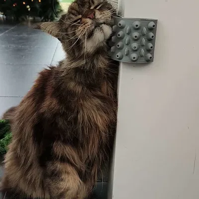 Scratch-A-Cat (có thể nhét catnip vào bên trong!)