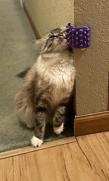 Scratch-A-Cat (có thể nhét catnip vào bên trong!) - Image 2