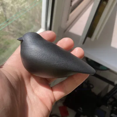 Ucar Nature Bird – Chim tối giản trang trí