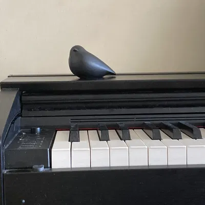 Ucar Nature Bird – Chim tối giản trang trí