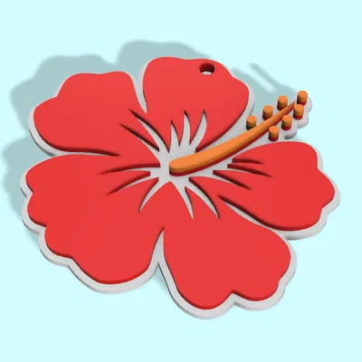 Bông Tai Hoa Hibiscus (Hibiscus Earring)
