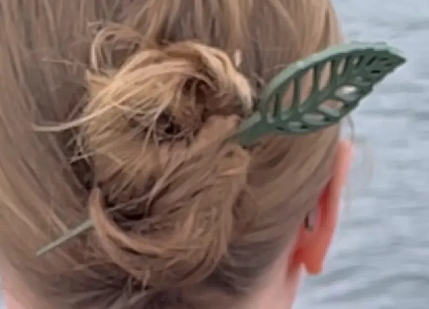 Kẹp tóc (Hair Pins) - Image 1