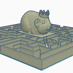 Mê cung cho chuột lang (guinea pig) hoặc hamster