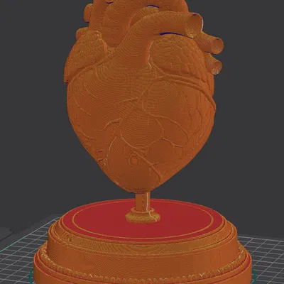 Trái tim Valentine (valentine heart)