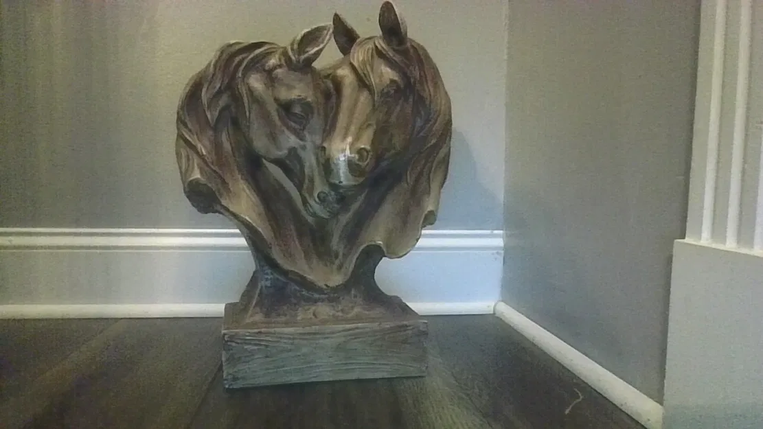 Love connection – Hai chú ngựa đang yêu nhau - Image 1