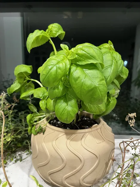 Chậu Tự Tưới Nước V2 (Self-Watering Planter V2) - Image 2