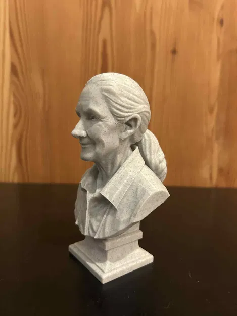 Valerie Jane Morris-Goodall – Bust - Image 2