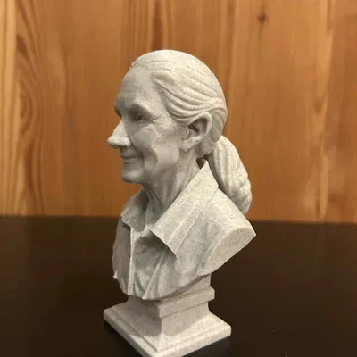 Valerie Jane Morris-Goodall – Bust