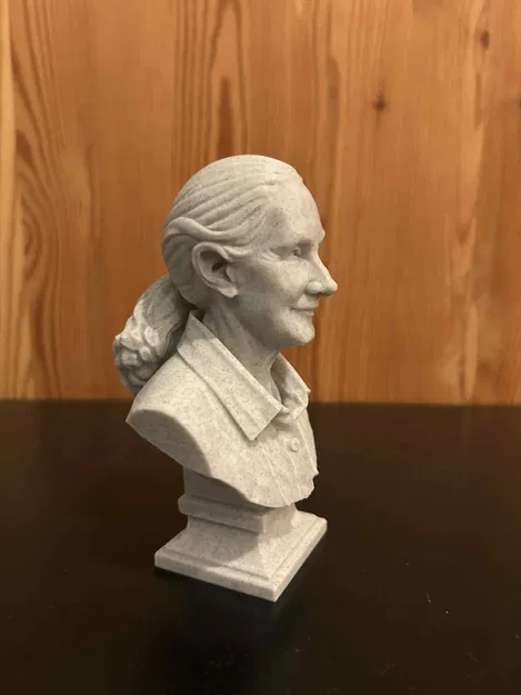 Valerie Jane Morris-Goodall – Bust - Image 4