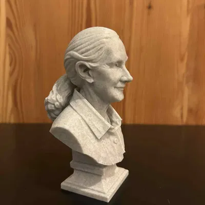 Valerie Jane Morris-Goodall – Bust