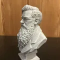 Alfred Russel Wallace – Bust - Thumbnail 4