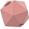 Đồ chơi thức ăn hình Dodecahedron cho chó mèo - Thumbnail 1