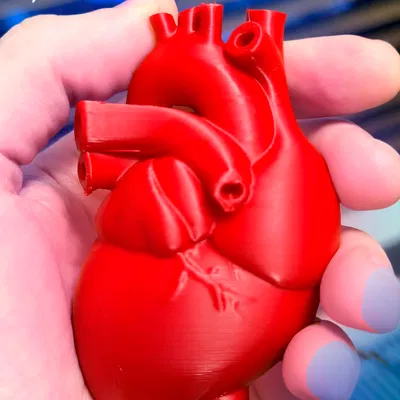 Trái tim chân thực cho ngày Valentine