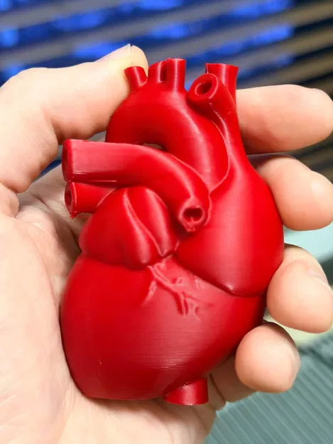 Trái tim chân thực cho ngày Valentine - Image 2