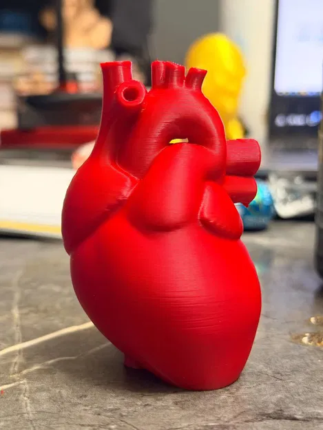 Trái tim chân thực cho ngày Valentine - Image 3