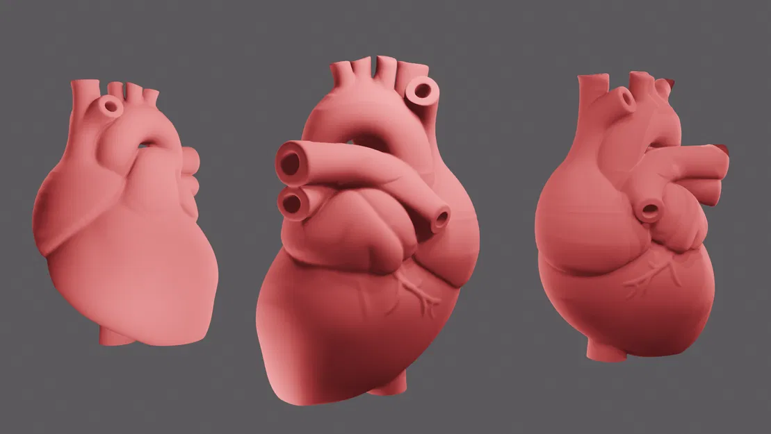 Trái tim chân thực cho ngày Valentine - Image 4