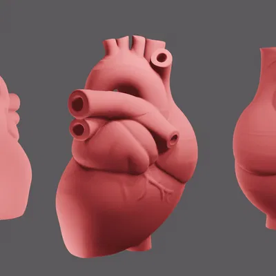 Trái tim chân thực cho ngày Valentine