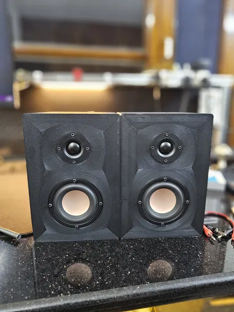 Loa bookshelf DIY tinh chỉnh theo Hivi M3N (Hivi M3N tuned bookshelf speakers) - Image 1