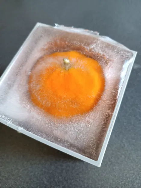 ORANGE FREEZE FORM – Khuôn đông cam - Image 1