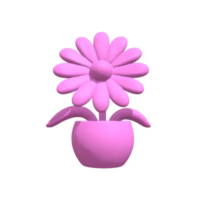 Trang trí (Decoration)