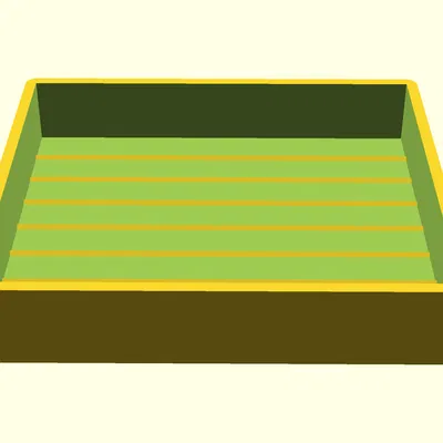 Khay phân loại động vật không xương sống (mẫu hiện trường, hiển vi, chụp ảnh)