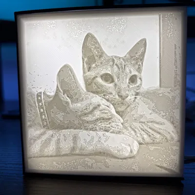 Hộp lithophane nhanh, giá rẻ + hướng dẫn