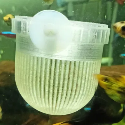 Khay cho ăn live food (bloodworm) cho hồ cá