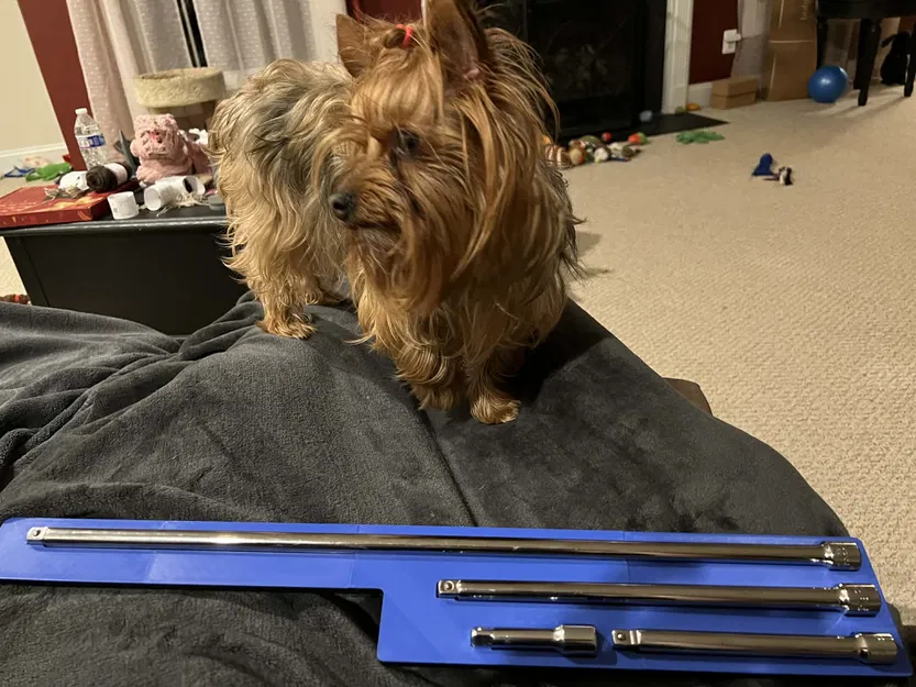 Khay Gridfinity cho thanh nối 3/8" (Extension Tray) - Image 4