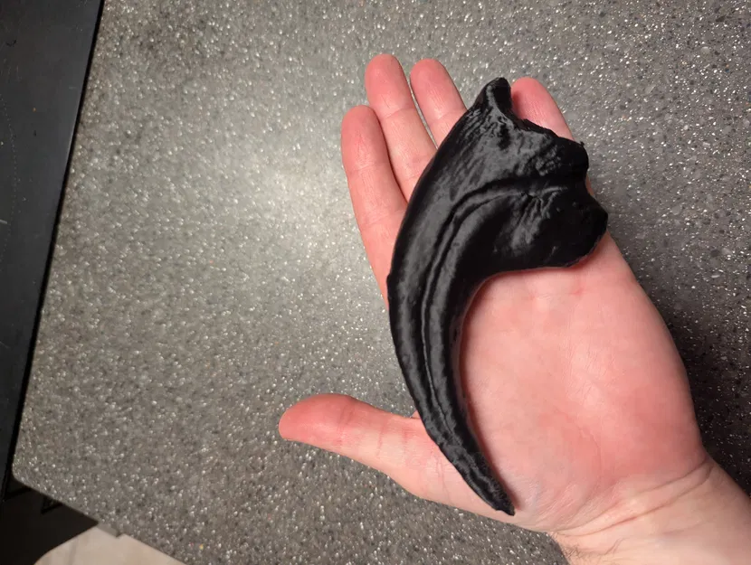 Móng vuốt Allosaurus fragilis (tỉ lệ 1:1) - Image 1