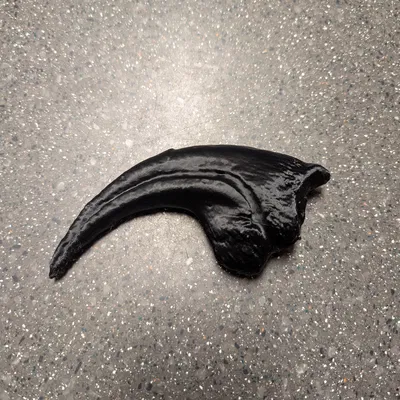 Móng vuốt Allosaurus fragilis (tỉ lệ 1:1)